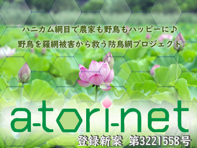a-tori-net-gallery-PTアートボード 1640px.png
