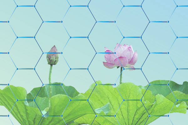 blue-honeycomb-lotus600x400.png